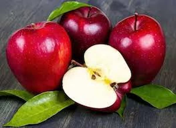 تصویر 2 از خرید نعناع خشک ضامن صادراتی + قیمت عمده
